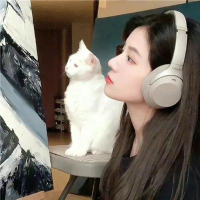 灵域第二季
